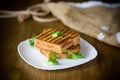 Hot double sandwich with lettuce leaves and stuffed in a plate