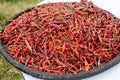 Hot dried red chillies peppers in big round plate. Traditional mexican cuisine. Healthy vegan food Royalty Free Stock Photo