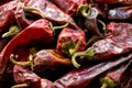 Hot dried red mexican chillies peppers, close up image Royalty Free Stock Photo