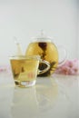 Drink of flowering tea in glass teapot with cup Royalty Free Stock Photo