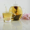 Drink of flowering tea in glass teapot with cup Royalty Free Stock Photo