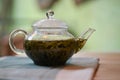 A hot drink photography image of a glass tea pot filled with fresh green tea with a light green background Royalty Free Stock Photo