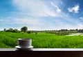 Hot drinks coffee, with natural green rice field landscape in countryside background Royalty Free Stock Photo