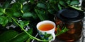 Hot drinks the lemon tea leaves healthy is to detoxify herbs, medicines from plant Royalty Free Stock Photo