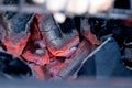 The hot embers of burning wood log fire. Firewood burning on grill. Abstract background. Selective focus Royalty Free Stock Photo