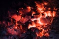 Hot Embers glowing and burning in stove. Close up Royalty Free Stock Photo