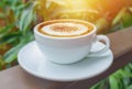 Hot espresso coffee with warm sunshine and refreshing nature Royalty Free Stock Photo