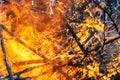 Hot fire burning the forest the concept of the environment. fire kills everything in its path Royalty Free Stock Photo