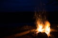 Hot fire flames in the dark. majestic fire with sparks at night. Royalty Free Stock Photo