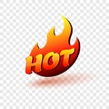 Hot fire sign for banner, sale, restaurant menu. 3D vector design element isolated on transparent background. Royalty Free Stock Photo