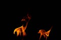 Hot flames on a black background. Beautiful flame of fire in the dark. Abstract of burning flames and smoke Royalty Free Stock Photo