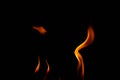 Hot flames on a black background. Beautiful flame of fire in the dark. Abstract of burning flames and smoke Royalty Free Stock Photo