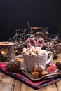 Hot flavored cocoa with marshmallows and caramel. Delicious Christmas drink in cold winter. Free space for text