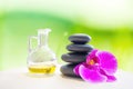 Hot fragrance oil aroma therapy massage with stone over blurred green spring garden background for relaxing image concept. Royalty Free Stock Photo