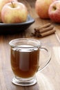 Hot fresh apple cider Royalty Free Stock Photo