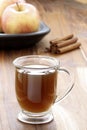 Hot fresh apple cider Royalty Free Stock Photo
