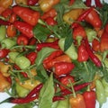 Hot fresh chillies