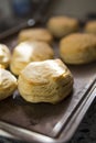 Freshly baked homemade buttermilk biscuits in natural light. A southern tradition Royalty Free Stock Photo