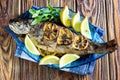 Hot fresh savory grilled whole trout barbeque with fresh herbs and lemon, served black pepper and arugula salad leaves on blue pla