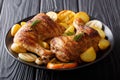 Hot fried chicken legs with grilled oranges, lemon, onion, garlic and potatoes close-up. horizontal
