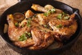 Hot Fried Chicken tobacco with herbs and garlic in a pan. horizontal Royalty Free Stock Photo