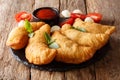 Hot fried panzerotti with a filling of tomatoes, herbs and mozza Royalty Free Stock Photo