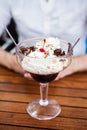 Hot fudge with chanttily and ice cream Royalty Free Stock Photo