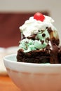 Hot Fudge Sundae Royalty Free Stock Photo