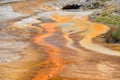 Hot geyser pool in Old Faithful area Royalty Free Stock Photo