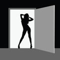 Hot girl front the door vector