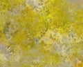 Hot golden old yellow grey marble background wall in old grunge spilled watercolor stone paint