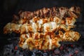 Hot gourmet barbecue, shashlik, kebab, skewer on the grill Royalty Free Stock Photo