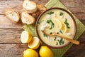 Hot greek lemon soup with chicken close-up in a bowl with bread. Horizontal top view