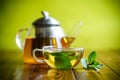 Hot green tea with fresh mint Royalty Free Stock Photo