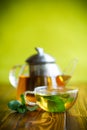 Hot green tea with fresh mint Royalty Free Stock Photo