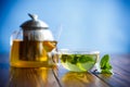 Hot green tea with fresh mint Royalty Free Stock Photo