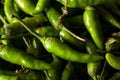 Hot Green Thai Chili Pepper Royalty Free Stock Photo