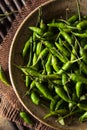 Hot Green Thai Chili Pepper Royalty Free Stock Photo