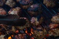 Hot grill covered in seasoned pork