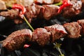 Hot Grilled Beef Kebab or Barbecue Shashlik on Charcoal Background with Herbs and Spices Closup Royalty Free Stock Photo