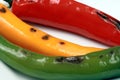 Hot grilled peppers Royalty Free Stock Photo