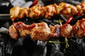 Hot Grilled Pork Kebab or Barbecue Shashlik