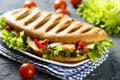 Grilled sandwich with chicken, green salad and vegetables