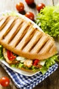 Grilled sandwich with chicken, green salad and vegetables