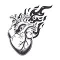 Hot heart fire logo silhouette. lion heart graphic design logos or icons. vector illustration Royalty Free Stock Photo