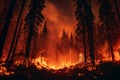 Wildfire disaster burning trees destruction environment hot heat nature fire smoke forest red Royalty Free Stock Photo