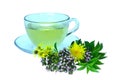 Hot herbal tea in a glass cup Royalty Free Stock Photo