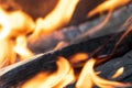 Hot high temperature orange wood fire flames close Royalty Free Stock Photo