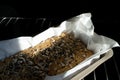 Hot homemade bread with sesame and sunflower seeds on a metal rack in the oven in the sunshine, fresh baked. Gluten free Royalty Free Stock Photo