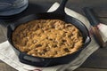 Hot Homemade Chocolate Chip Skillet Cookie Royalty Free Stock Photo